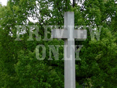 CROSS TREE 4